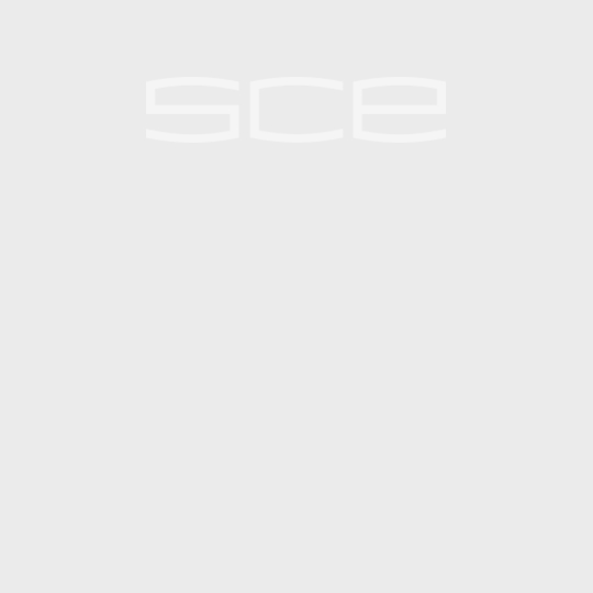 Accessibility Accommodations